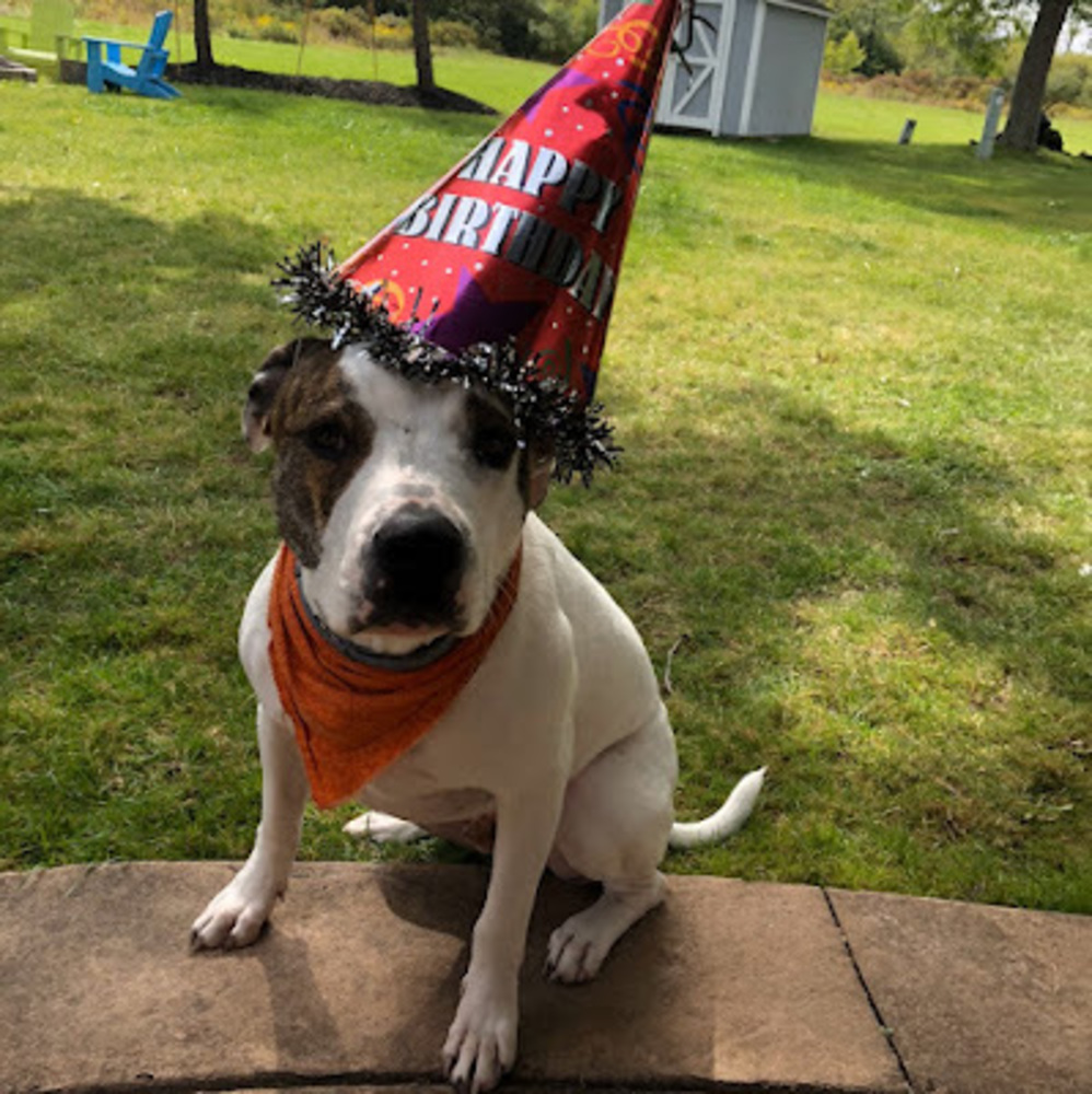 Meet your Posher, Mckenna